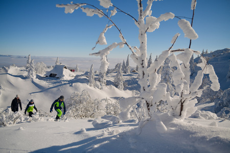 Letne statistike kažejo lep porast prihodov in nočitev - rekorden obisk Kamnika (7)